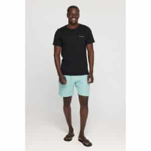חולצת טי שירט לגברים קולומביה Columbia Rapid Ridge Back Graphic Tee II מכותנה אורגנית