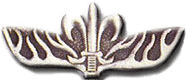 סיכת לוחם יחידת אגוז